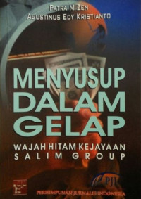 Image of Menyusup dalam gelap : wajah hitam kejayaan Salim Group